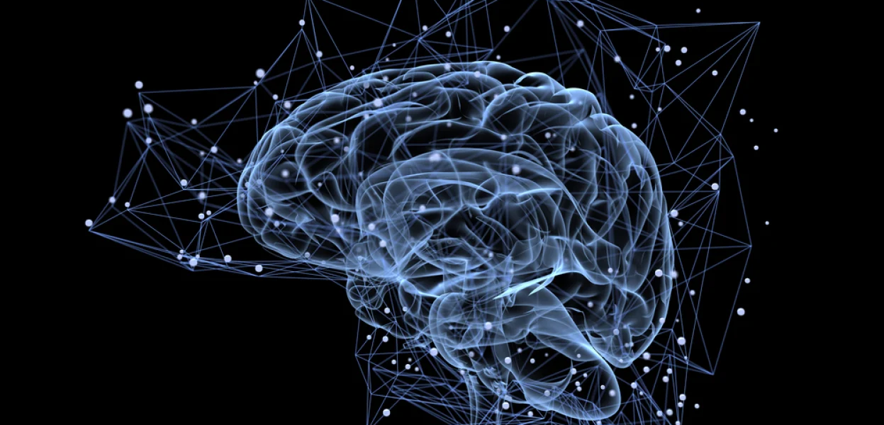 Clarity in Neuroscience: Dr. Philip Sobash's Evolutionary Insights
