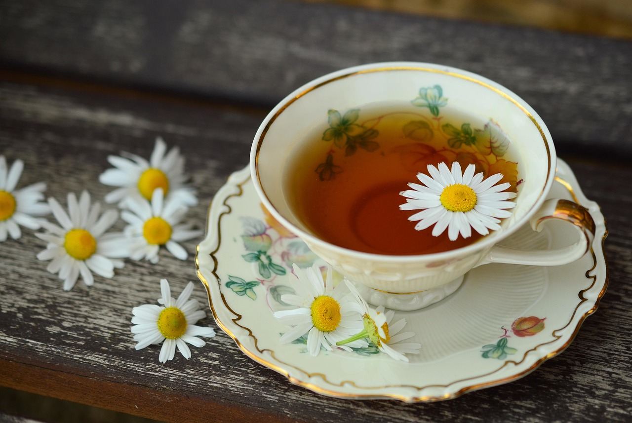 Cup, tee, porcelain — Medicare Advantage plans Supporting Preventive Care and Wellness Programs