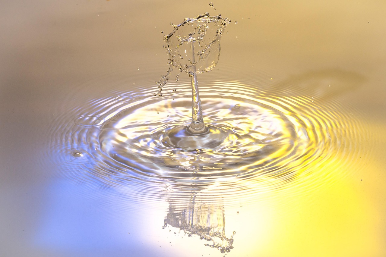 Drops, water, nature — The Role of Your Favorite Softball Bat in Preventing Injuries and Enhancing Safety